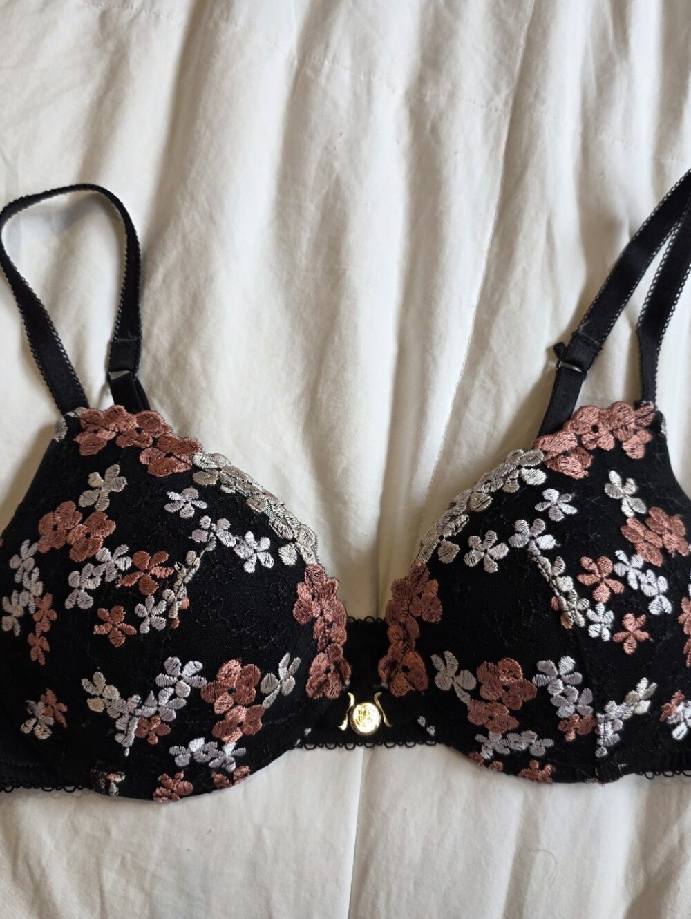 La Vie En Rose - Black Floral Lace Underwire Bra with Pink and Cream Embroidery